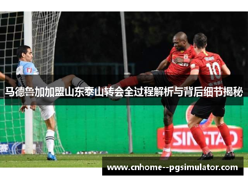 马德鲁加加盟山东泰山转会全过程解析与背后细节揭秘