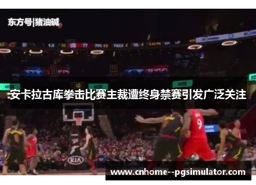 安卡拉古库拳击比赛主裁遭终身禁赛引发广泛关注